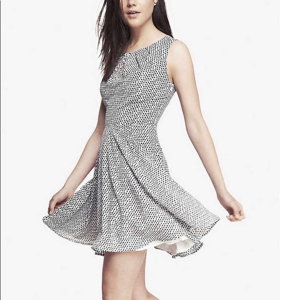 Express Size Small Fit and Flare Dress